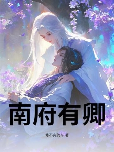 南府有卿